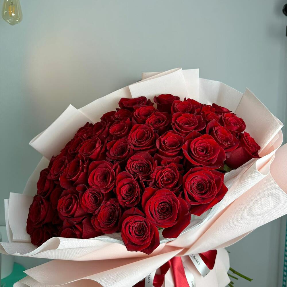 Красные розы 51шт
