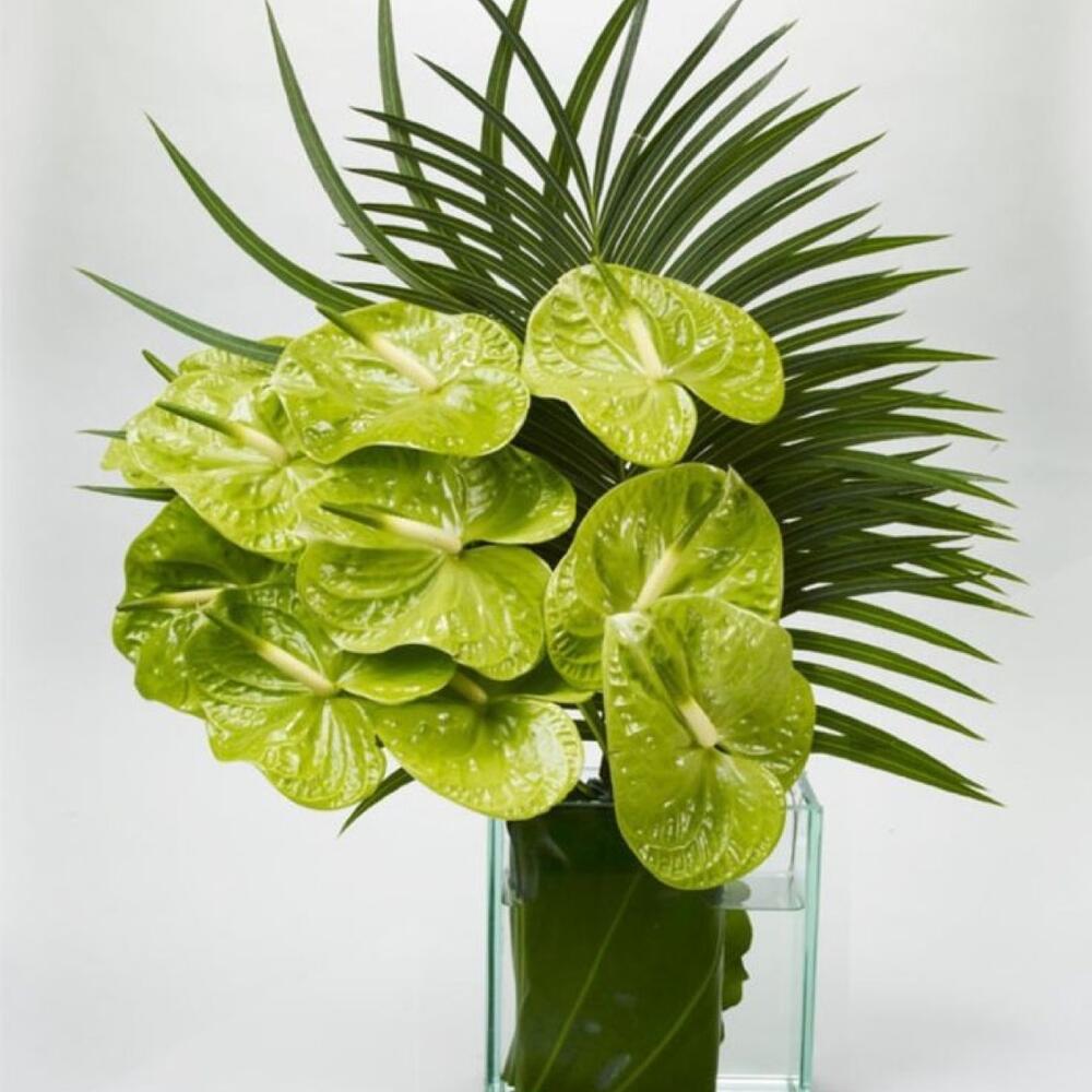 Зелёный чай