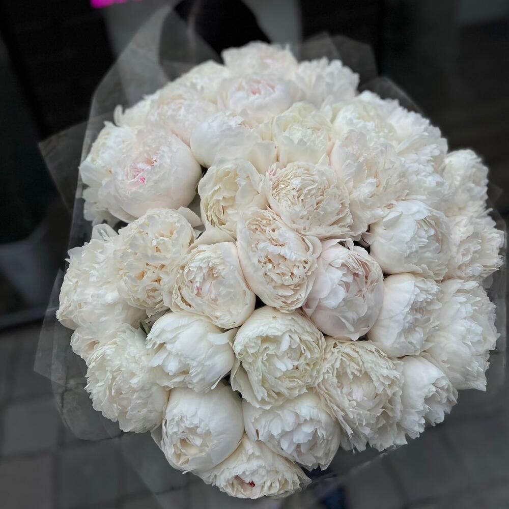 Премиальные пионы